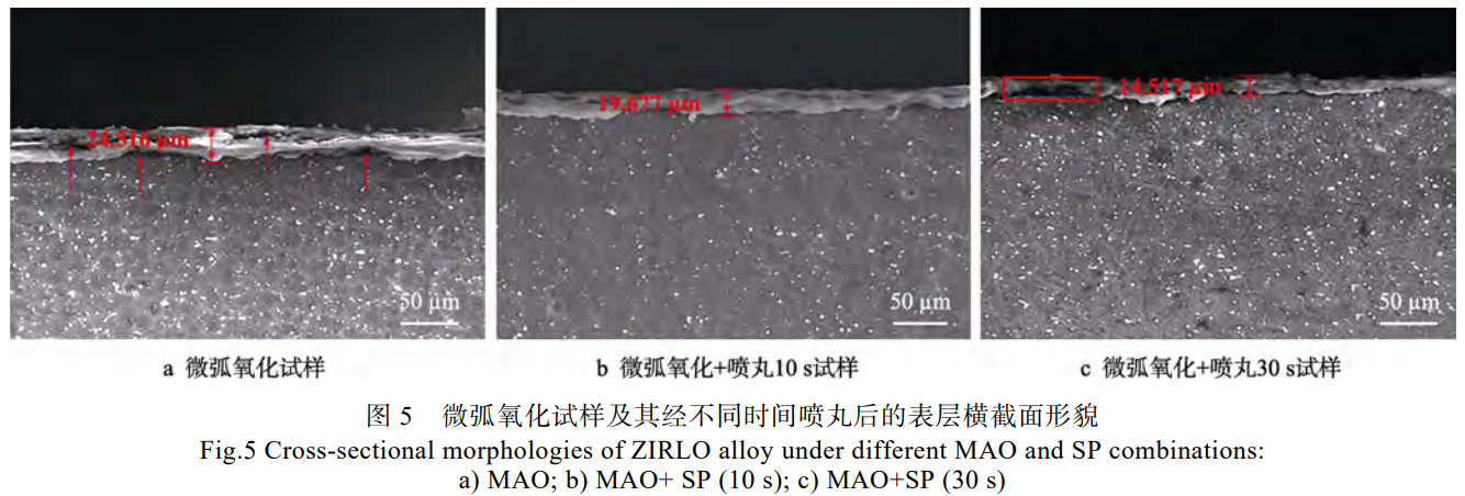 截圖20241228161728.png